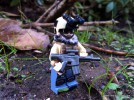 Outdoor target shooting Budapest